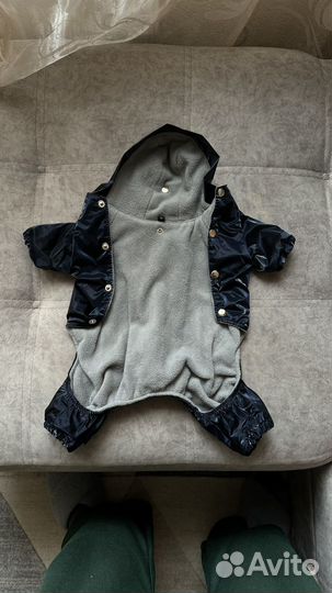 Одежда для маленьких собак