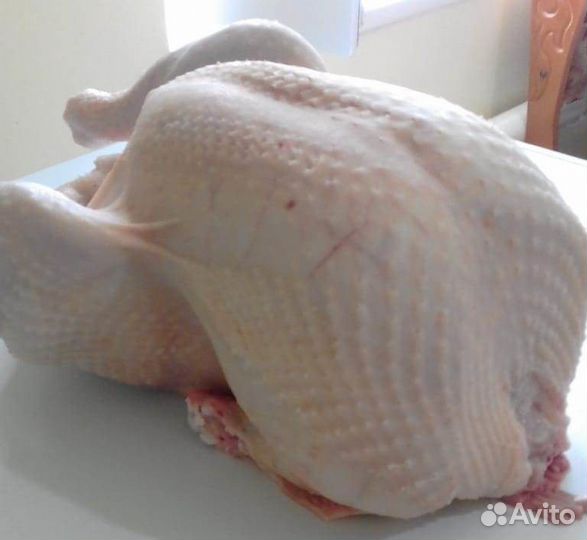 Мясо индейки, гуся, бройлера