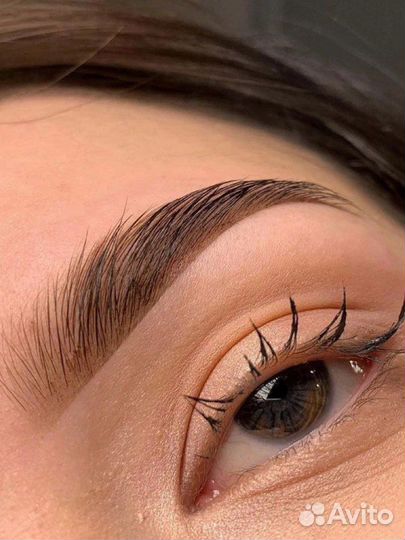 Обучение курс бровист