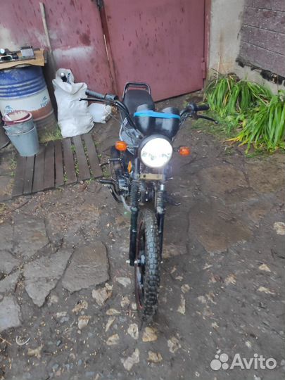 Альфа спорт