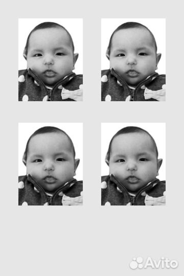 Услуги фотографа