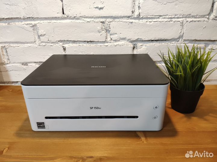 Принтер Ricoh SP 150su