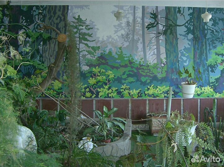 Уфа Роспись Стен-Фотообои, Рисунок в Детской