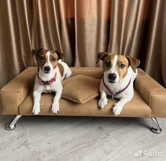 Лежанка для собак