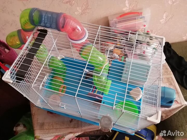 Клетка для грызунов