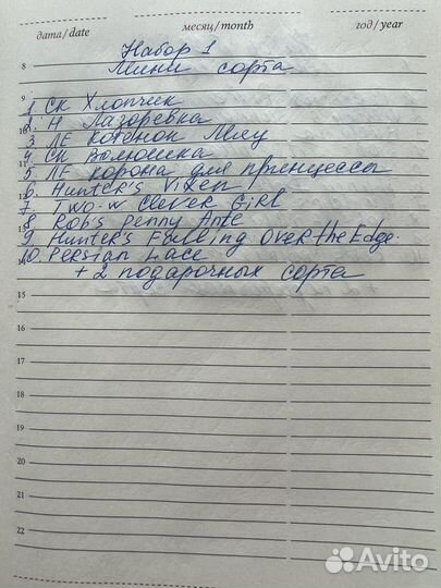 Фиалка