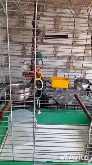 Клетка для попугая