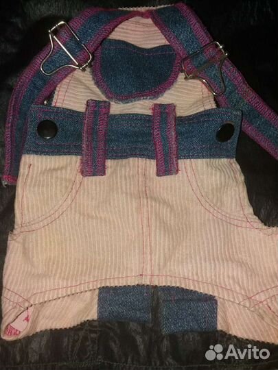 Одежда для йорка