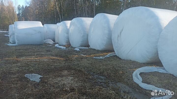 Сенаж в рулонах