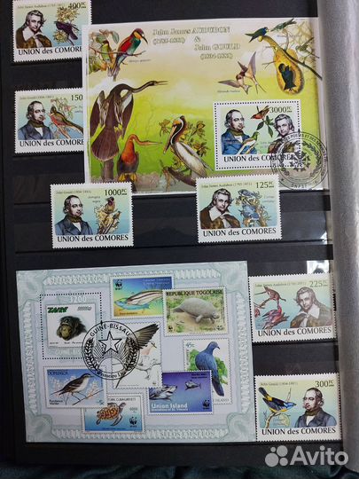 Комплект марок блоков Фауна к.171