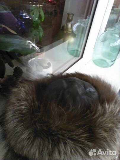 Шапка из черно-бурой лисы