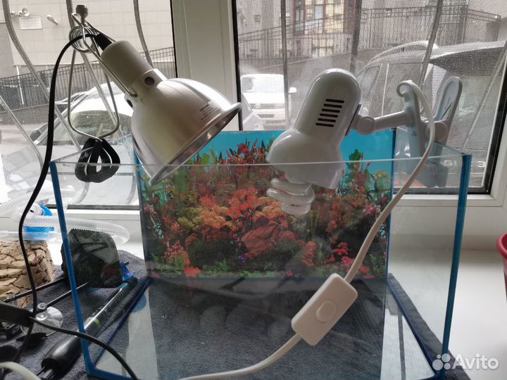 Черепашник, аквариум, готовый комплект для черепаш