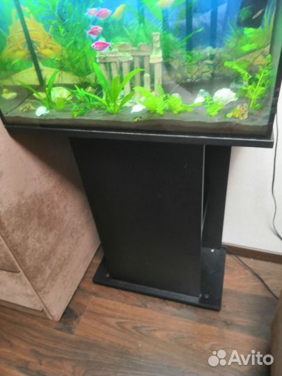 Аквариум 70л с тумбой и рыбками