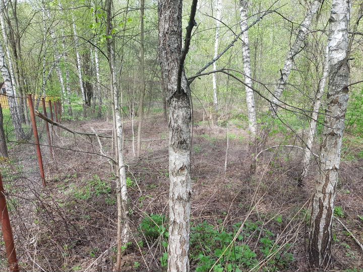 Участок 21 сот. (ИЖС)