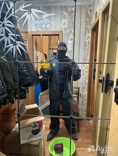 Дезинфекция клопов тараканов мышей блох запахов ос