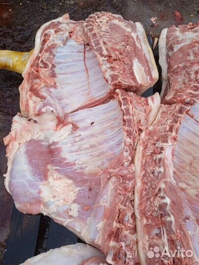 Мясо свинины