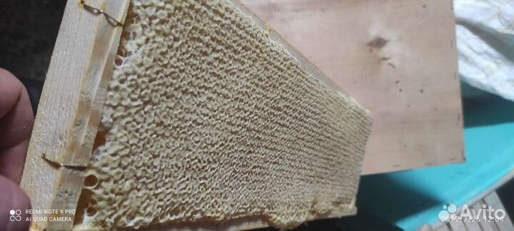 Мед свежий 2024 года Разнотравье