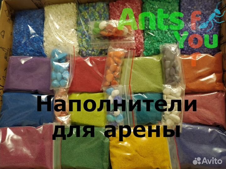 Корм, аксессуары и декор для формикария