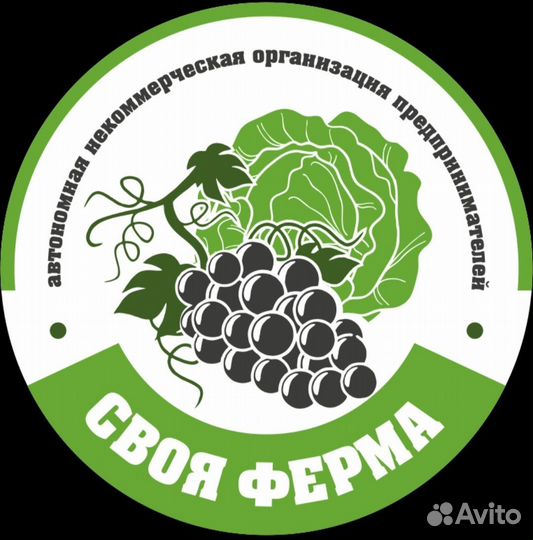 Шеф-повар