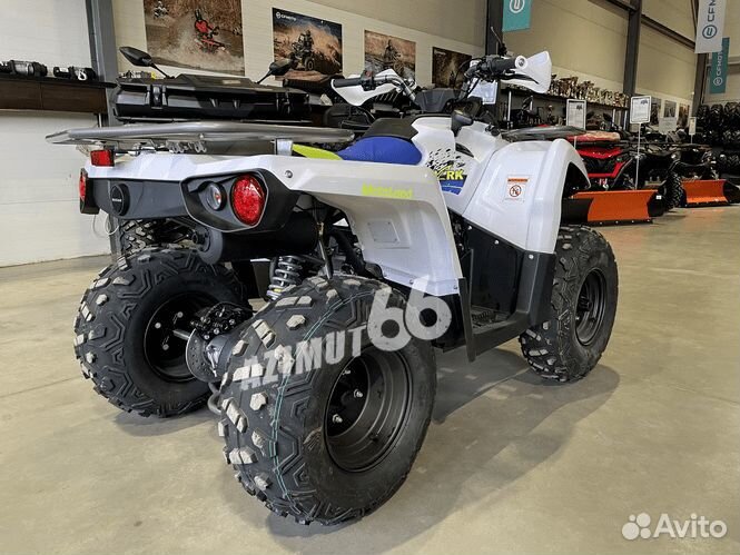 Квадроцикл MotoLand 200 Shark