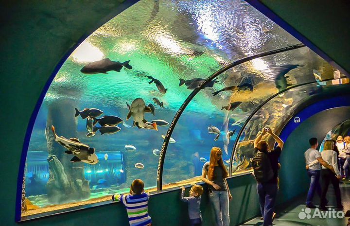 Билеты в Москвариум (океанариум) на ВДНХ
