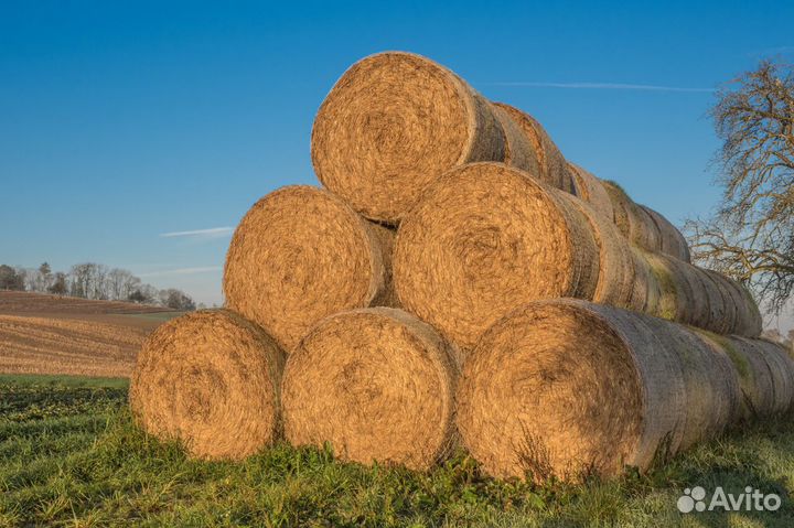 Сено, солома