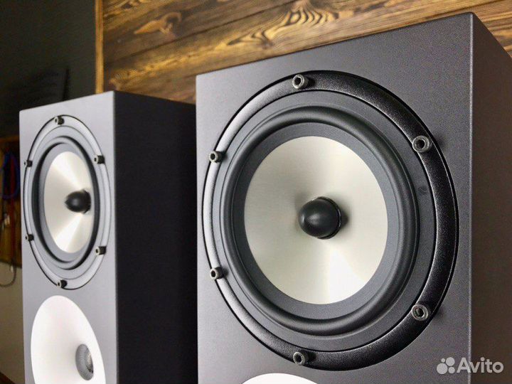 Amphion Two 18 в Наличии