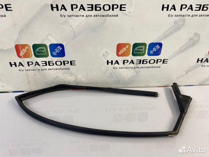 Уплотнительная резинка стекла двери задняя правая