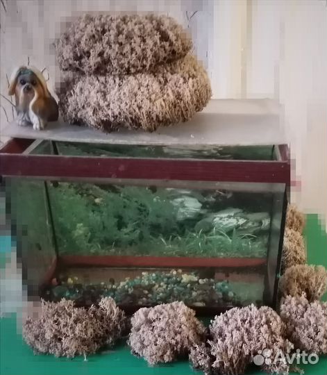 Аквариум 15 литров