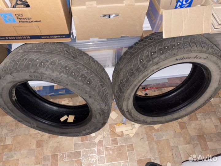Matador MP 50 Sibir Ice 2 205/55 R16