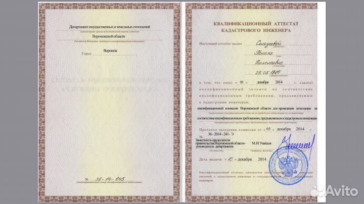 Кадастровый инженер, геодезист