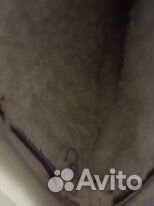 Дождливая погода не исключена