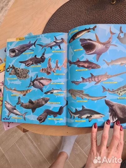 Красочные детские книги. Энциклопедии