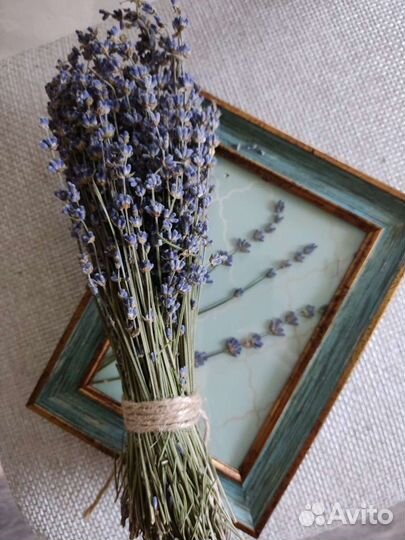 Лаванда цвета неба