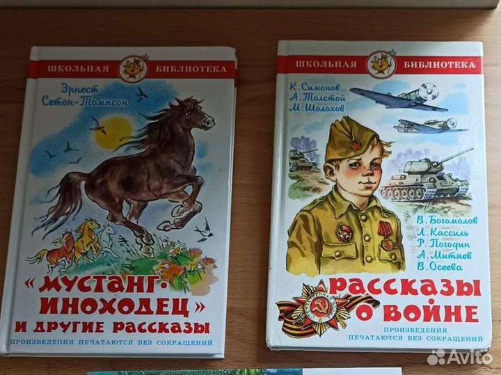 Детские книжки /внеклассное чтение