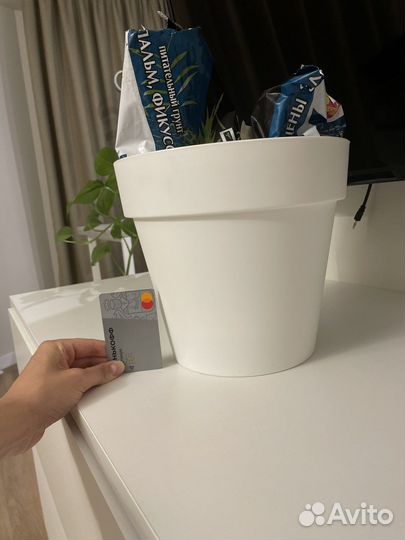 Кашпо горшок для цветов растений