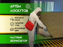 Уничтожение тараканов клопов дезинфекция В Москве