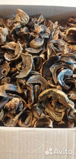 Сушеные грибы