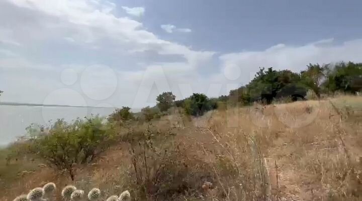 Участок 2,8 га (ИЖС)