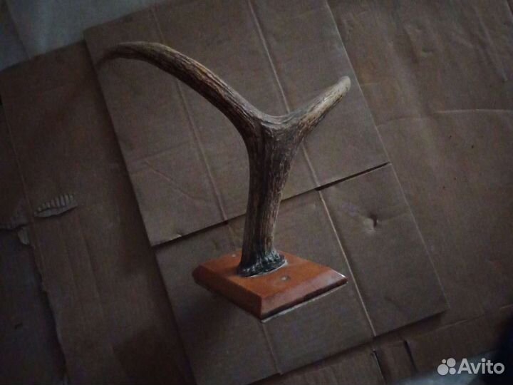 Старинная вешалка рога.1940-1950 годы