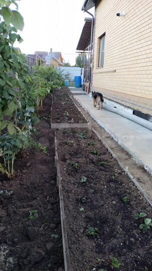 Коттедж 146 м² на участке 15 сот.