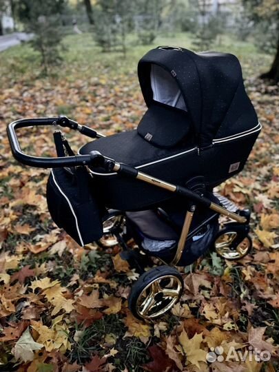 Коляска 2 в 1 Adamex Reggio Special Edition ECO