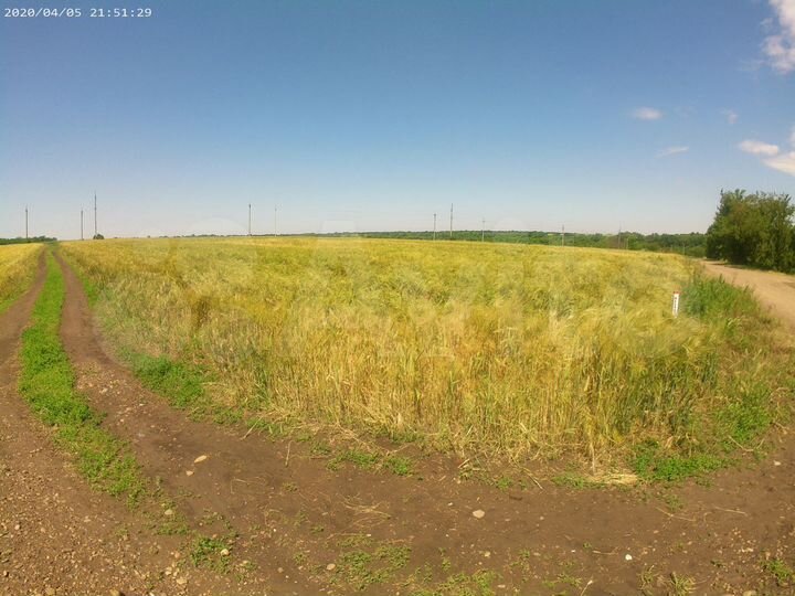 Участок 24,4 сот. (ИЖС)