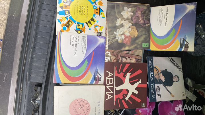 Виниловые пластинки