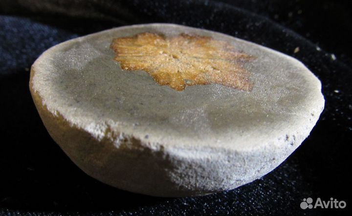 Срез Беломорской рогульки