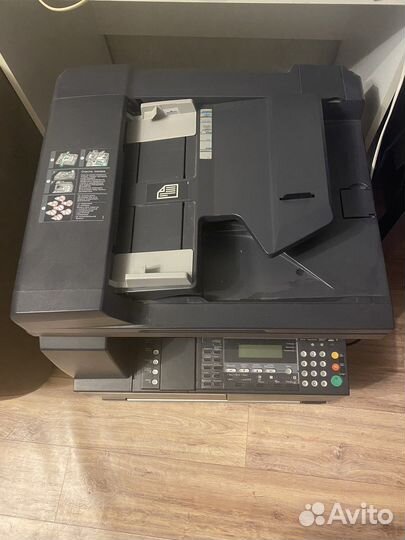 Мфу kyocera taskalfa 181