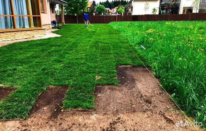 Рулонный газон с доставкой