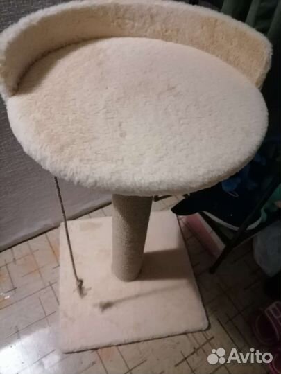 Когтеточка