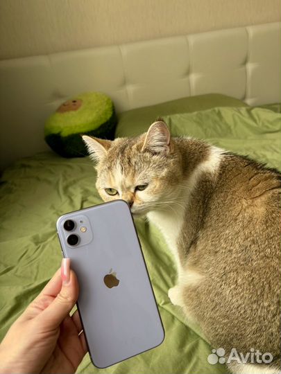 iPhone 11, 128 ГБ