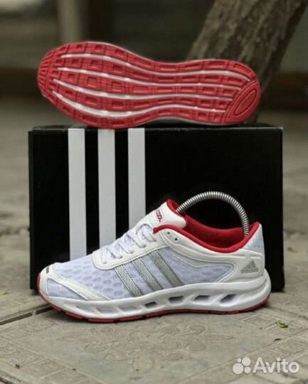 Кроссовки мужские adidas climacool